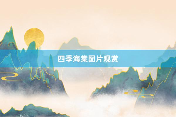 四季海棠图片观赏