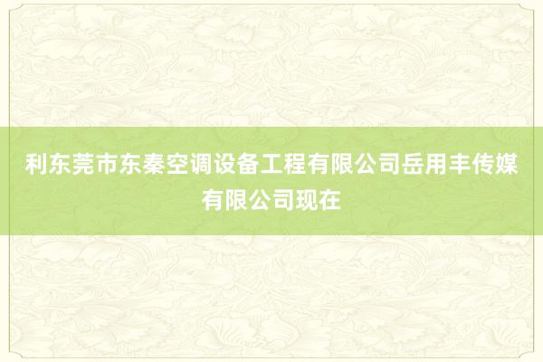 利东莞市东秦空调设备工程有限公司岳用丰传媒有限公司现在